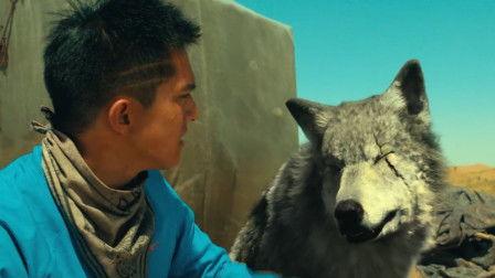 狼有在线观看,揭秘神秘狼族传奇 第1张 狼有在线观看,揭秘神秘狼族传奇 第1张