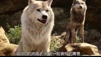 狼有在线观看,揭秘神秘狼族传奇 第3张 狼有在线观看,揭秘神秘狼族传奇 第3张