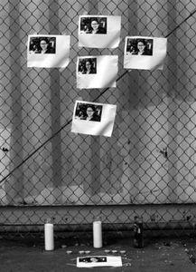 新闻诡异爆料视频播放,新闻诡异爆料引发网友热议 第3张 新闻诡异爆料视频播放,新闻诡异爆料引发网友热议 第3张